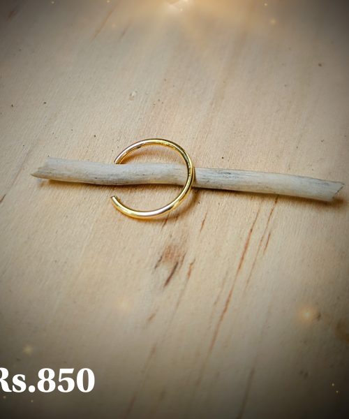 Thin Metal Nose Ring