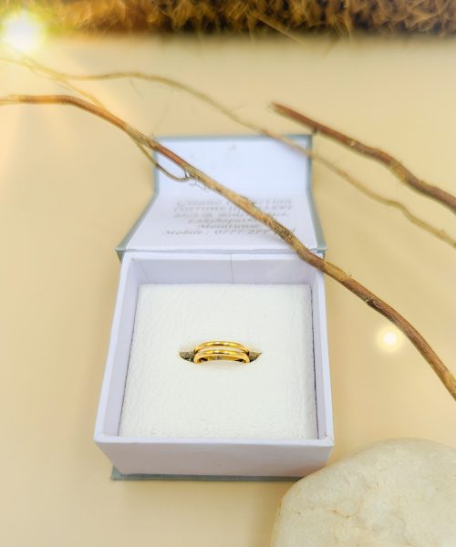 Double Line Metal Toe Ring
