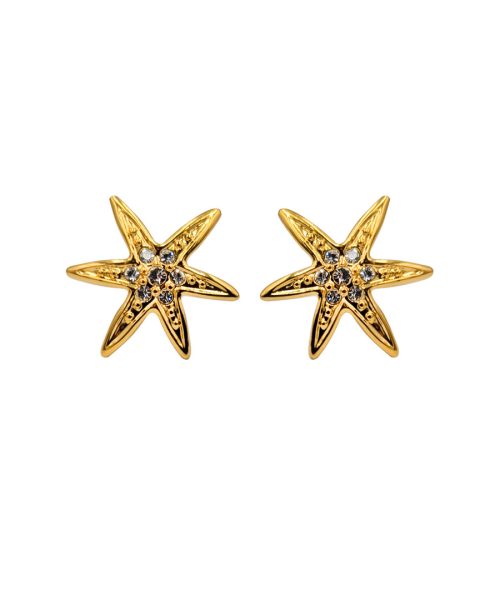 Twinkle Trail Star Earrings