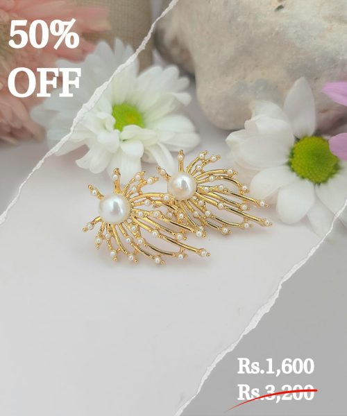 Fancy Firework Earring