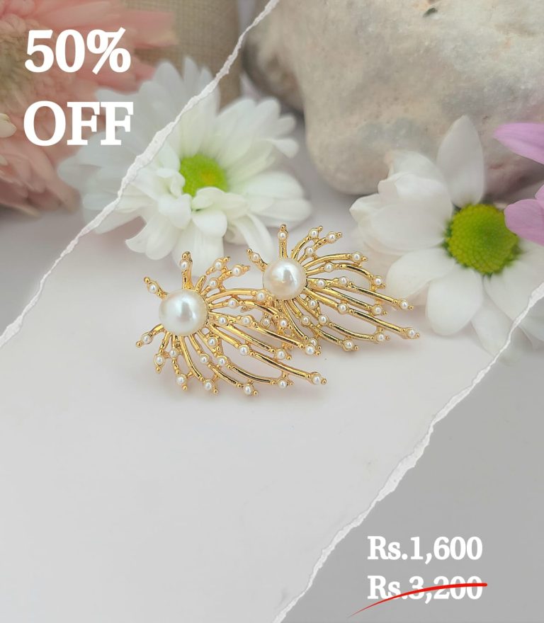 Fancy Firework Earring