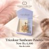 Tricolour Sunbeam Necklace Set With Bangle 7 WhatsApp Image 2026 09 18 at 3.59.51 PM